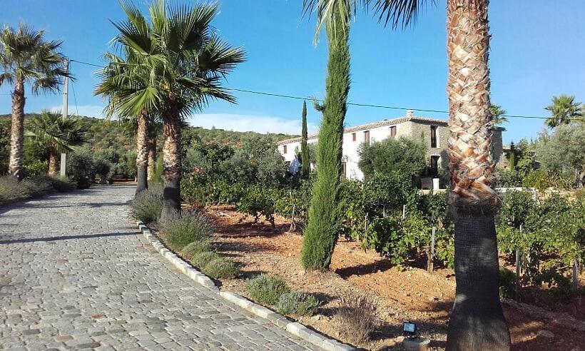 La Bastide De L'Oliveraie Le Castellet  Exterior foto